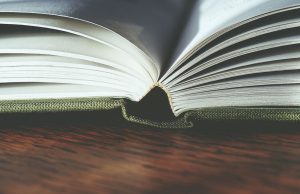Książki na Boże Narodzenie: najpiękniejsze zimowe opowieści i nowości wydawnicze, które warto położyć pod choinką